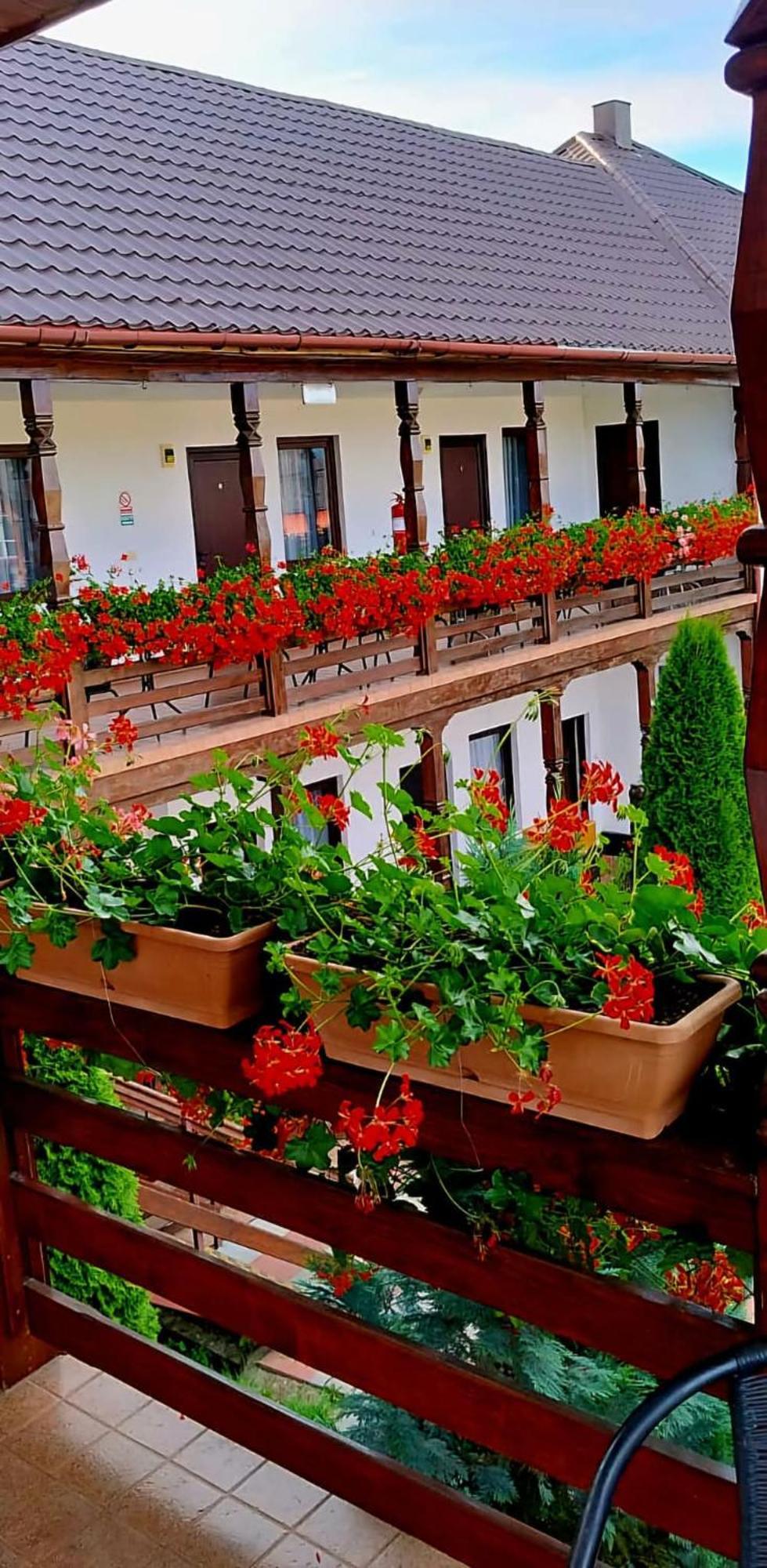 Cris & Mona Hotel Săpânța Exterior photo